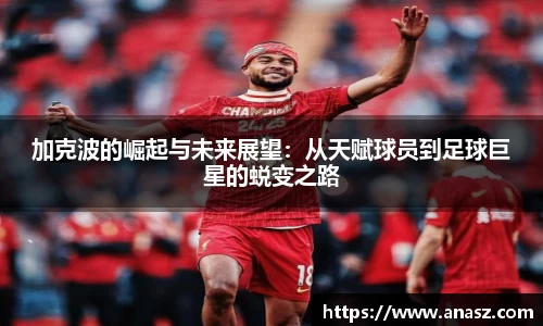 zoty中欧