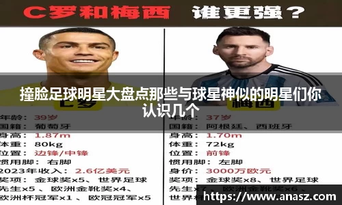 zoty中欧官方网站