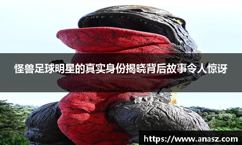 zoty中欧官方网站