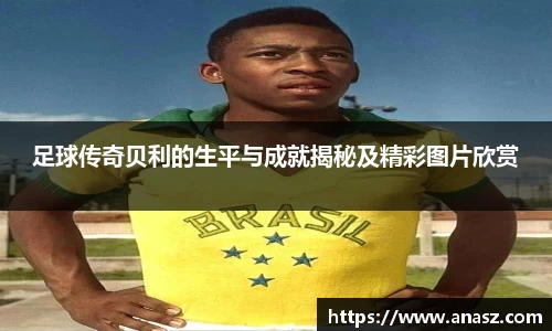 zoty中欧官方网站